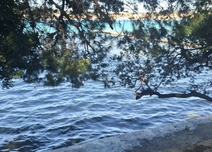 P Stil * Сукошан