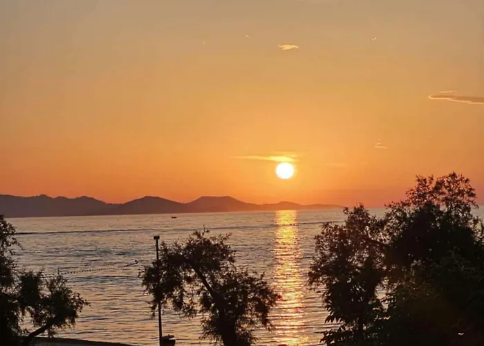 P Stil Сукошан