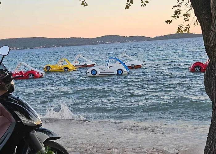 P Stil Сукошан