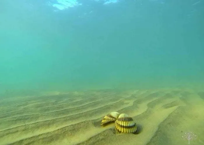 Apartment P Stil Sukosan